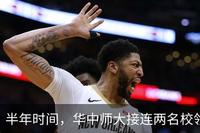 半年时间，华中师大接连两名校领导落马，但二人履历大不相同