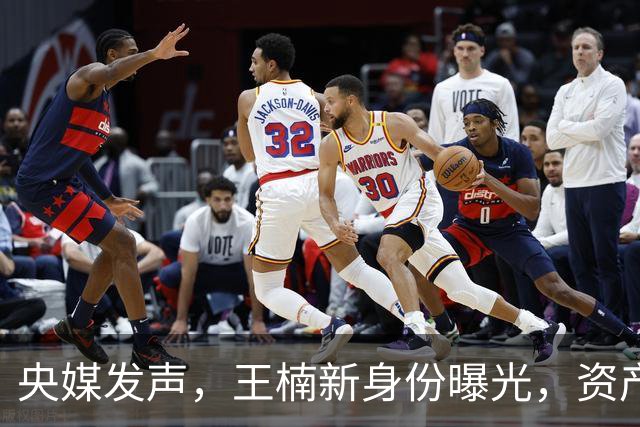 央媒发声，王楠新身份曝光，资产查封被带走调查传闻背后另有隐情