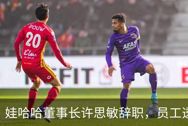 娃哈哈董事长许思敏辞职，员工透露内幕，宗馥莉派系和接班细节流出