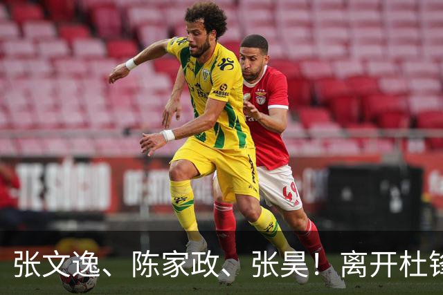 张文逸、陈家政、张昊！离开杜锋不会打球了，也没有上场时间了