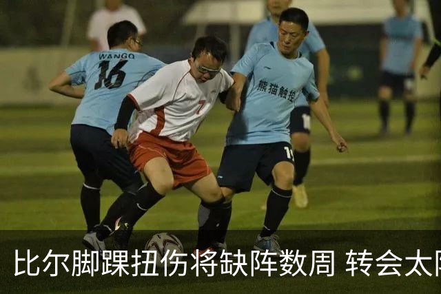 比尔脚踝扭伤将缺阵数周 转会太阳后仅出战6场