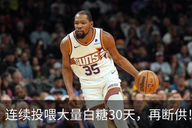 连续投喂大量白糖30天，再断供！国外网红扮“蚂蚁天神”整蛊野生蚁群