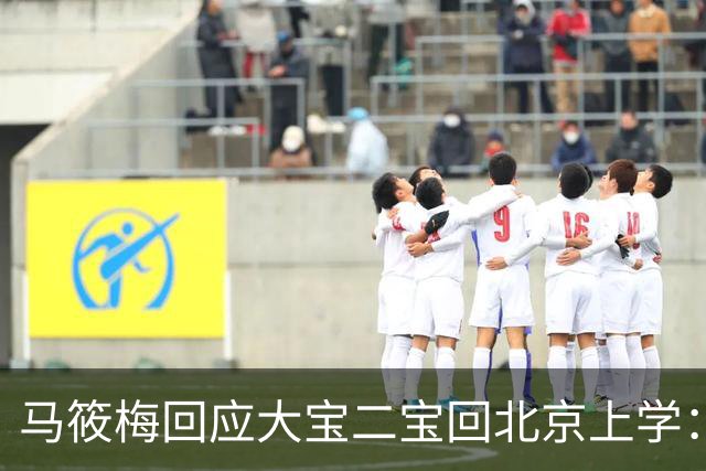 马筱梅回应大宝二宝回北京上学：不是我能做主