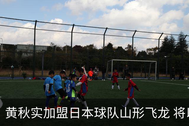 黄秋实加盟日本球队山形飞龙 将以亚洲外援身份为球队出战B1联赛