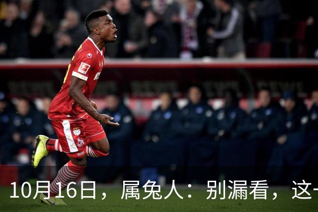 10月16日，属兔人：别漏看，这一天对你很重要